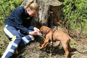 2018 Ausbildungswoche Arber